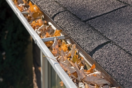 When should you schedule gutter cleaning to avoid water damage